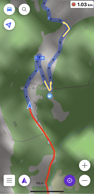 Viaje grabado en iOS