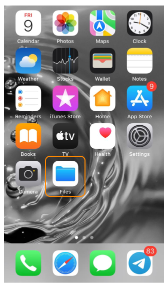 Invia log dei crash iOS 1