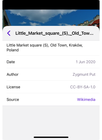 Online Photos context menu iOS